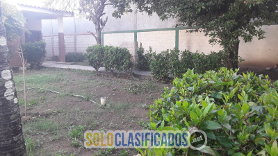 Solo Clasificados - Vendo casa granja comercial 880 Mtrs2 Bqto Vzla - imagen: 15