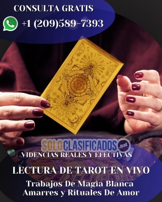 Consulta Tarot Gratis Videntes Expertos En Magia Blanca... 