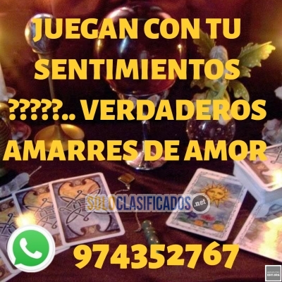 ESPECIALISTAS EN TAROT Y VIDENCIA EN SOLO 24 HORAS... 