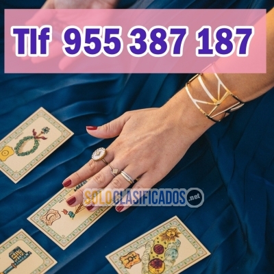 Tarotistas profesionales 9€ 30min telefono 955387187... 