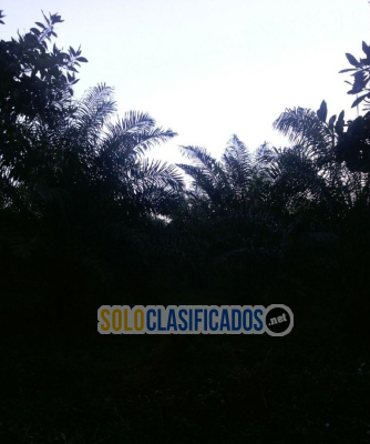 Solo Clasificados - Terrenos En La Playa, Solares Ciudad Y Fincas En El Campo, En Venta! - imagen: 11