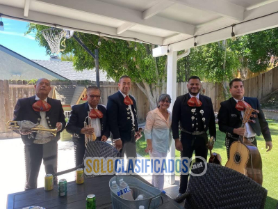 Solo Clasificados - Mariachi Los Potrillos en Los Angeles CA - imagen: 4