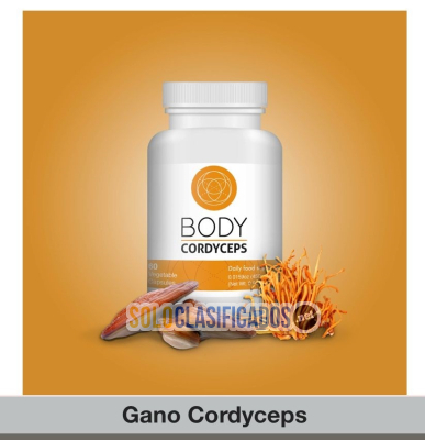 Gano Body Cordyceps  Es uno de los hongos medicinales más preciad... 