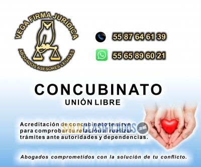 CONCUBINATO UNION LIBRE ASESORIA LEGAL 55 87 64 61 39... 