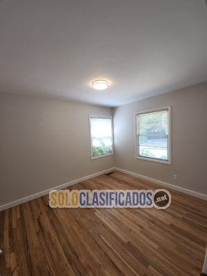 Solo Clasificados - Concrete and Painting - imagen: 26