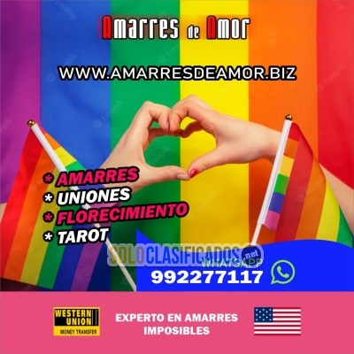 VIDENTE DEL AMOR AMARRES y RITUALES MISMO GENERO... 