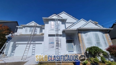 Solo Clasificados - Concrete and Painting - imagen: 6