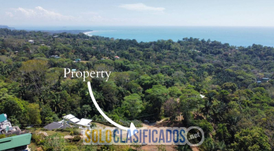 Solo Clasificados - Propiedad en Venta en Playa Hermosa OSA Puntarenas - imagen: 8