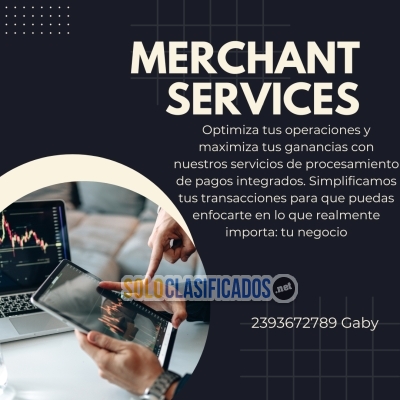Servicios profesionales Merchant Services... 