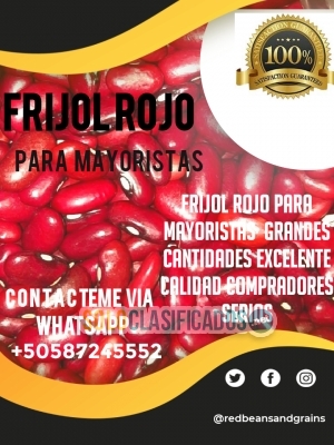 Frijol Rojo para Mayoristas... 