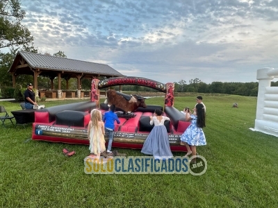 Solo Clasificados - Maltez Entertainment - imagen: 8