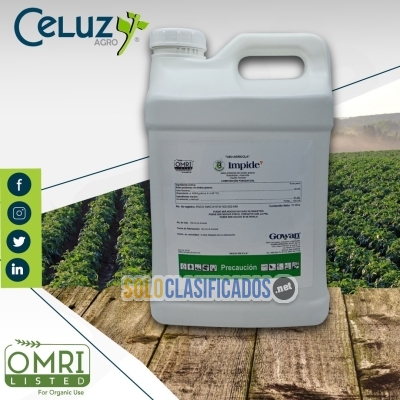 Solo Clasificados - IMPIDE - imagen: 1