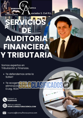 SERVICIOS DE AUDITORIA FINANCIERA Y TRIBUTARIA...