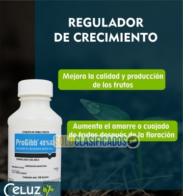 PROGIBB 40% GS (producto para el campo)... 