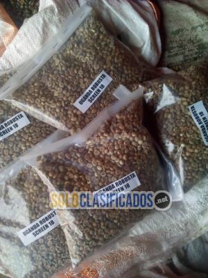 Solo Clasificados - Coffee Arabica Robusta Coffee Coffee Grading Coffee All Kenyan Origin - imagen: 1
