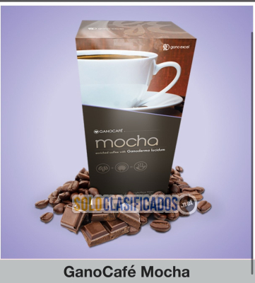 Gano Café Mocha  café Gourmet combinación de café cocoa real...