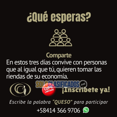 Solo Clasificados - CURSO TÉCNICO ONLINE QUESOS FRESCOS  HILADOS VENEZOLANOS PARA NEGOCIO ARTESANAL - imagen: 9