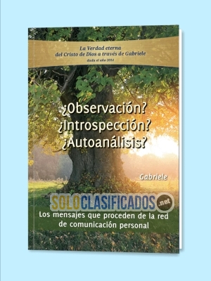 LIBRO ELECTRÓNICO ¿OBSERVACION? ¿INTROSPECCIÓN? ¿AUTOANÁLISIS? ¿Q... 