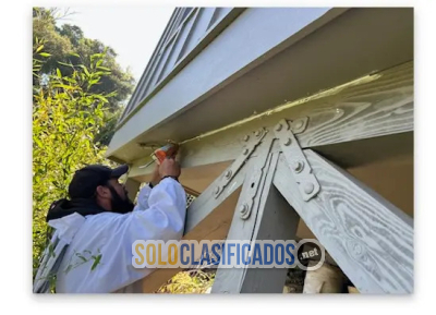 Solo Clasificados - Henrys     Bees     Removal      Service - imagen: 3