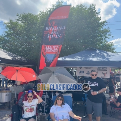 Solo Clasificados - Maltez Entertainment - imagen: 7