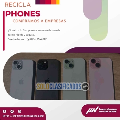 Solo Clasificados - ¡Reciclaje + Acción = Éxito con mundo verde! - imagen: 2