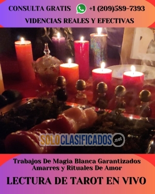 Videntes Amarres De Amor Magia Blanca Consulta Sin Compromiso... 