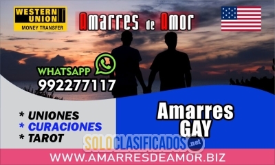 VIDENTE DEL AMOR Amarres de amor para el mismo genero... 