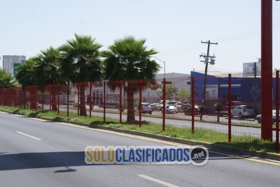 Solo Clasificados - FABRICA DE REJA DE ACERO CLASICA EN TULANCINGO DE BRAVO - imagen: 2