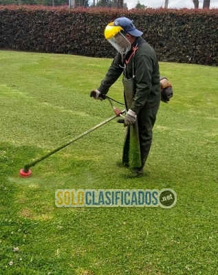 Mantenimiento de áreas verdes y jardinería... 