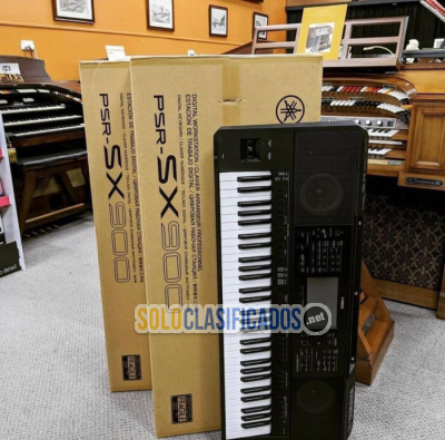 Solo Clasificados - Yamaha Genos2 y  Yamaha Tyros5 y  Yamaha MODX8+ Plus y  Yamaha PSRSX920 y Yamaha PSRSX900 y Korg Pa5X y Korg Pa4X y Korg Pa4X MG2 y  Korg NAUTILUS - imagen: 8