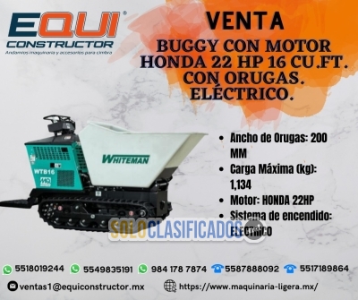 Venta Buggy con Motor Honda 22 HP 16 en Puebla... 