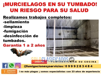 LIMPIEZA DE TUMBADOS 0999283484 GUAYAS SAMBO... 