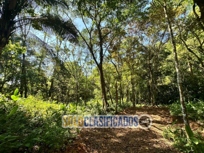 Solo Clasificados - Propiedad en Venta en Playa Hermosa OSA Puntarenas - imagen: 9