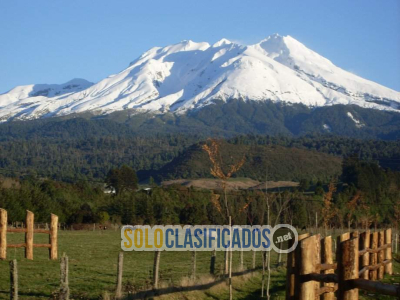 Solo Clasificados - Tours en Puerto Montt y región de Los Lagos - imagen: 2