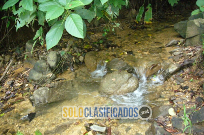 Solo Clasificados - Propiedad en Venta en Playa Hermosa OSA Puntarenas - imagen: 10