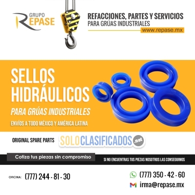 REFACCIONES PARA GRÚAS INDUSTRIALES KIT DE SELLOS REPAIR KIT... 