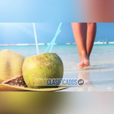 Solo Clasificados - Pasare Las Navidades En Republica Dominicana.. - imagen: 4