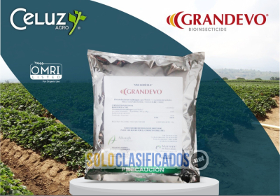 Solo Clasificados - GRANDEVO (insecticida/producto para el campo) - imagen: 1