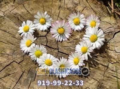 Solo Clasificados - tarot serio y profesional 24h 919992233 - imagen: 1