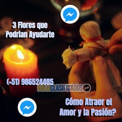 COMO ATRAER EL AMOR Y LA PASION ? 3 FLORES QUE PODRIAN AYUDARTE... 