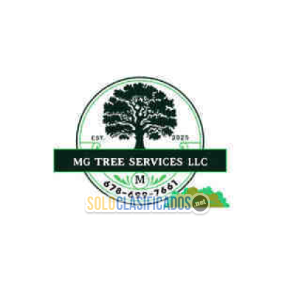 Solo Clasificados - MG           Tree Services           LLC - imagen: 1
