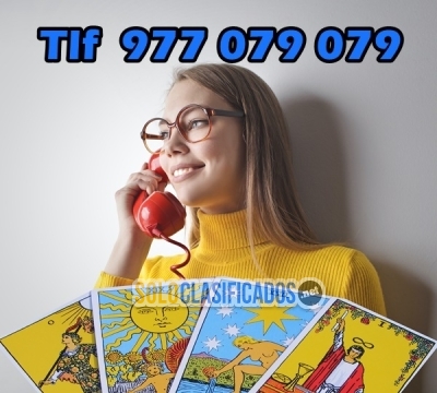 tarot del amor 977079079 sal de dudas por poco dinero... 