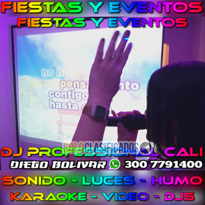 Solo Clasificados - ALQUILER DE SONIDO EN ROZO LUCES DJS BODAS QUINCES CUMPLES POOL PARTY - imagen: 4