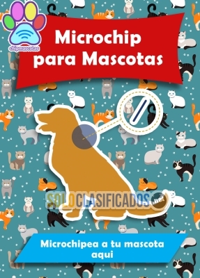 Microchip Para Mascotas  Animales / Certificado Y Pasaporte... 