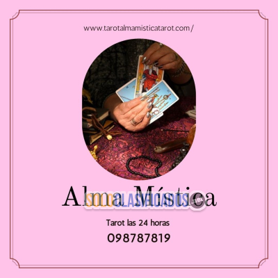 Solo Clasificados - Tarot 098787819 certeros y místicos consulte las 24 horas - imagen: 3