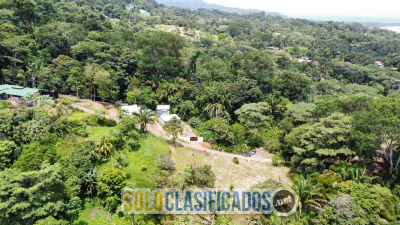 Solo Clasificados - Propiedad en Venta en Playa Hermosa OSA Puntarenas - imagen: 6