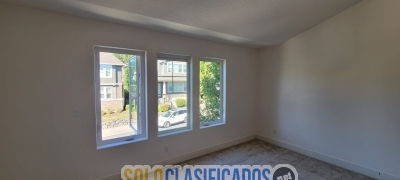 Solo Clasificados - Concrete and Painting - imagen: 30