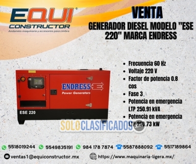 Venta De Generador Diesel Modelo ESE 220 Marca Endress.... 