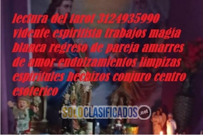 Lectura del tarot en bucaramanga 3124935990 vidente amarres de am... 