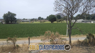 Terreno regular de 1765 m2 Xalpatlaco servicios Atlixco Puebla...